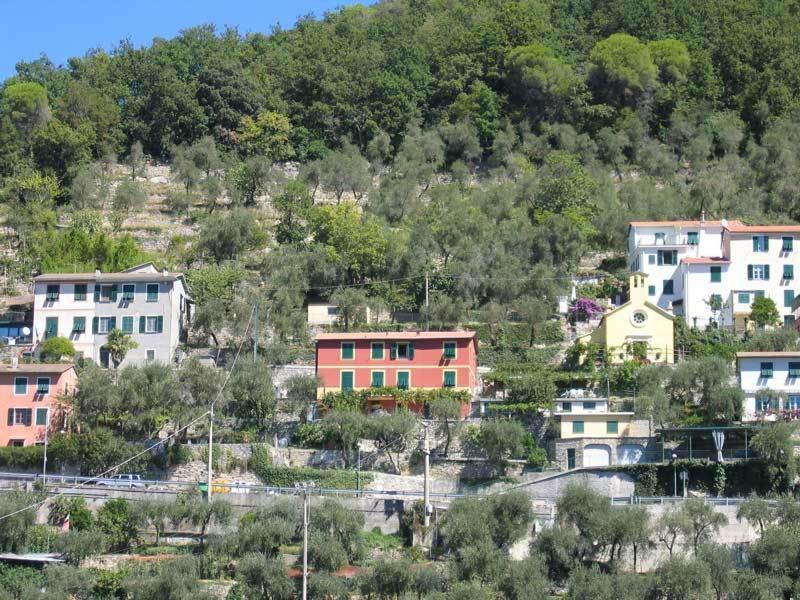 Affittacamere Cerisola 2003 Zoagli Extérieur photo